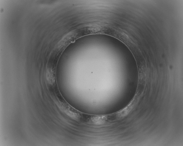 X0000069810136200605191055