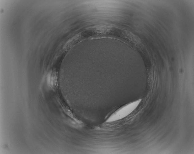 X0000069810137200605191055