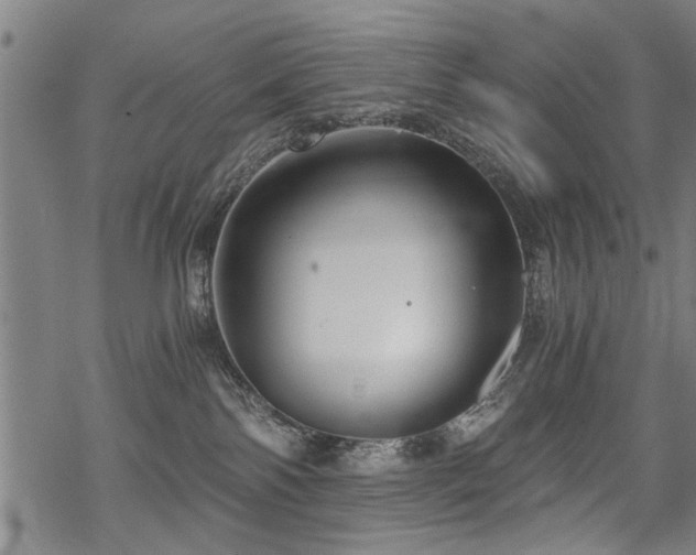 X0000069810138200605191055