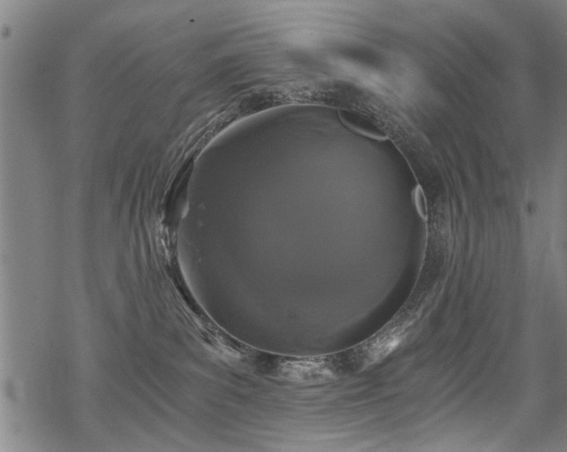 X0000069810139200605191055