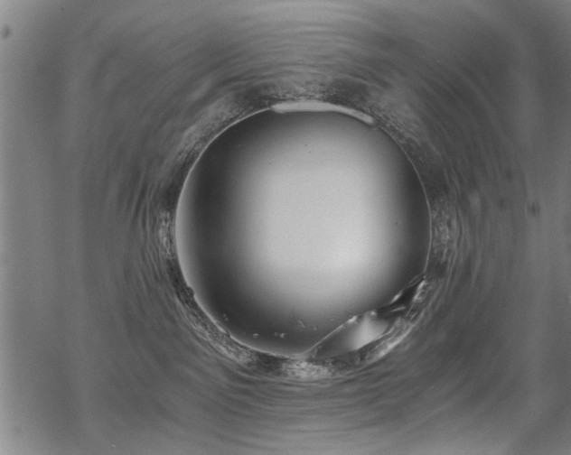 X0000069810141200605191055