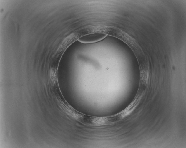 X0000069810142200605191055