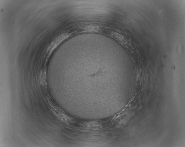 X0000069810146200605191054