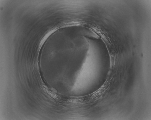 X0000069810147200605191054