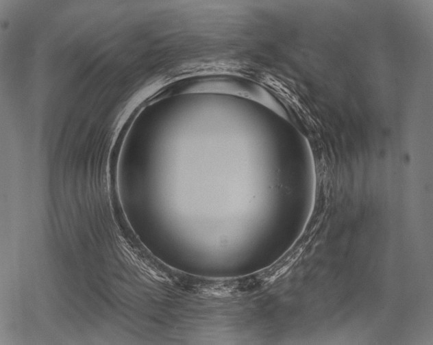 X0000069810148200605191054