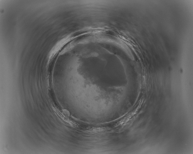 X0000069810149200605191054