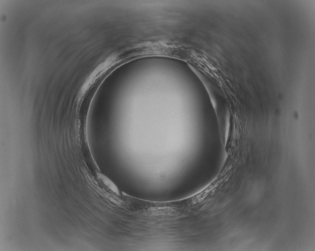 X0000069810150200605191054