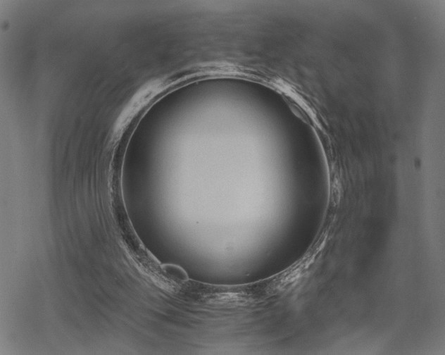 X0000069810151200605191054