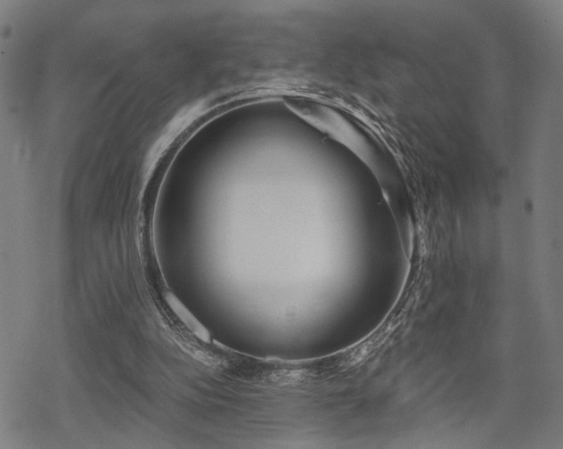 X0000069810152200605191054