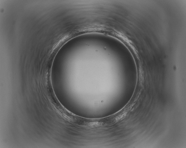 X0000069810153200605191054