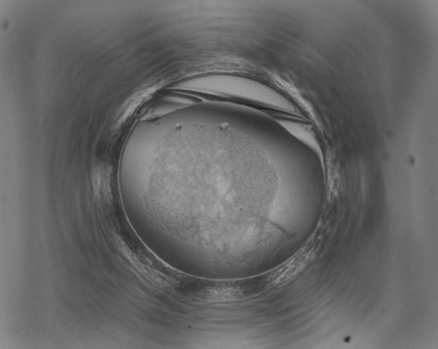 X0000069810154200605191054