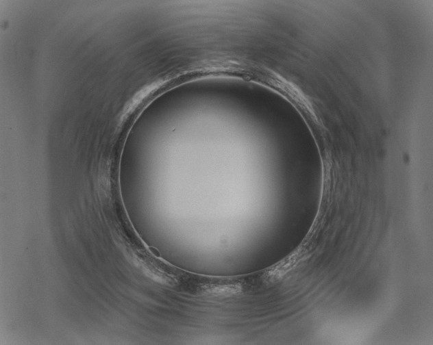 X0000069810155200605191054