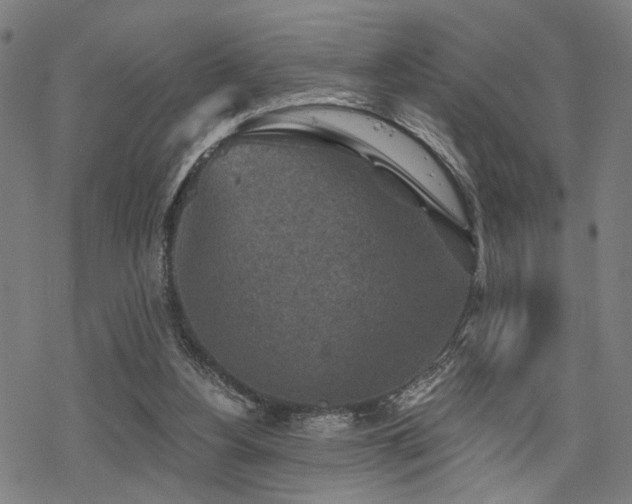 X0000069810156200605191054