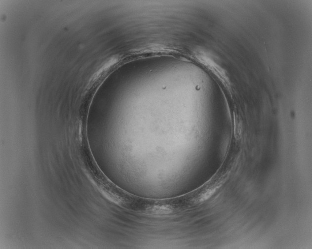 X0000069810157200605191054