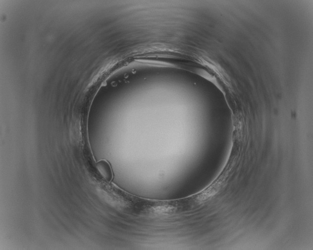 X0000069810158200605191054