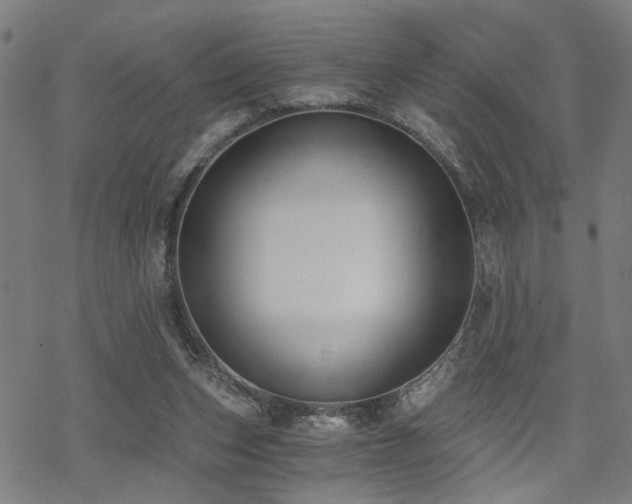 X0000069810159200605191054