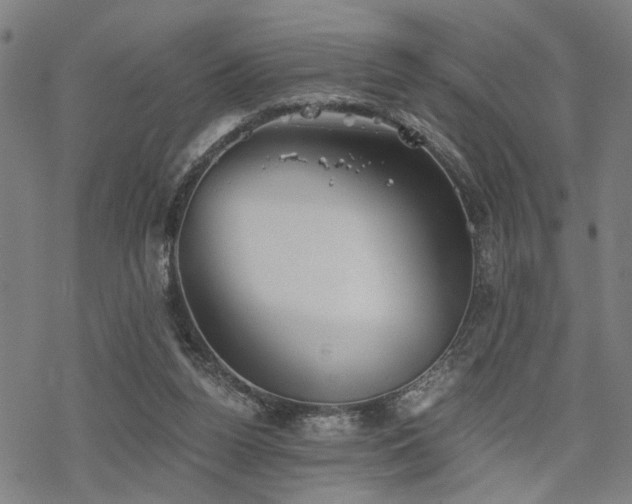 X0000069810160200605191054