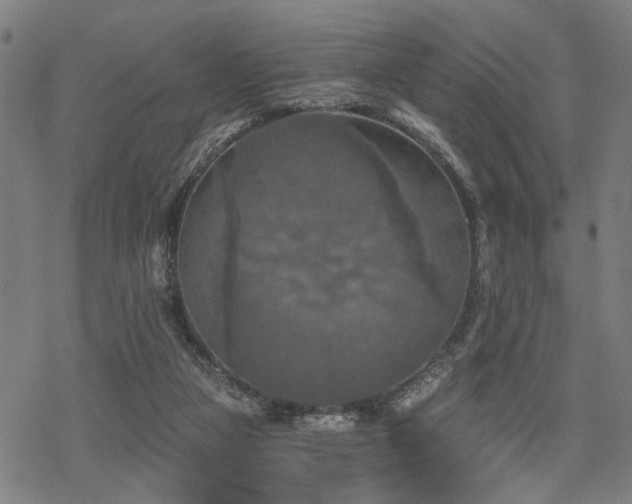 X0000069810161200605191054