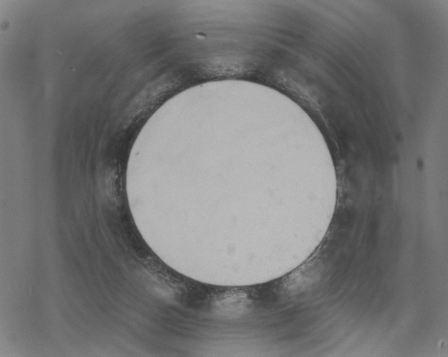 X0000069810162200605191054