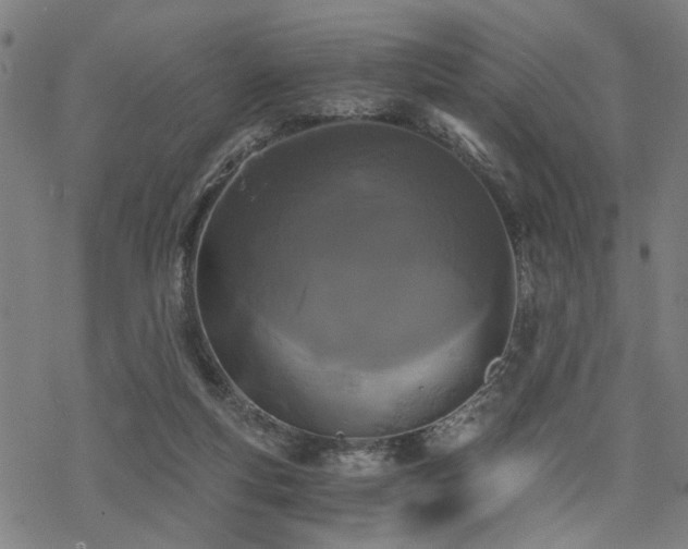 X0000069810163200605191054