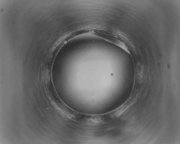 X0000069810164200605191054