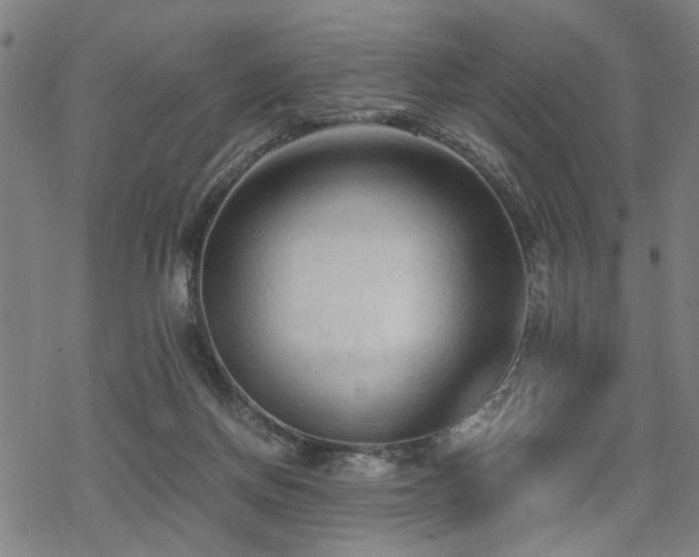 X0000069810166200605191054