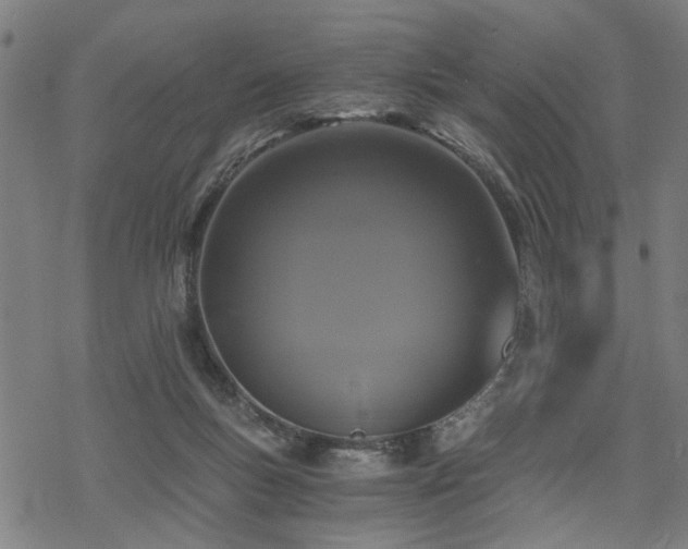 X0000069810167200605191054