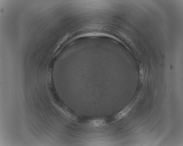 X0000069810168200605191054