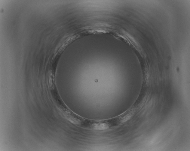 X0000069810169200605191054