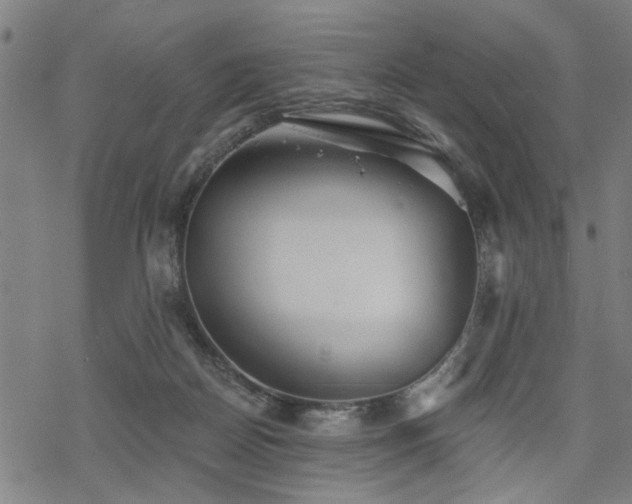 X0000069810170200605191054