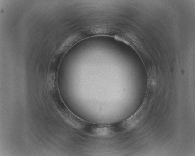 X0000069810171200605191054