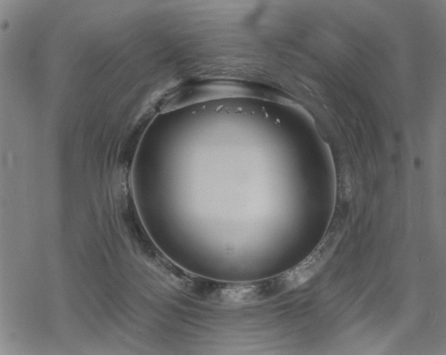 X0000069810172200605191054