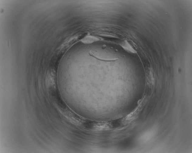 X0000069810175200605191055