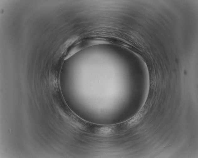 X0000069810176200605191055