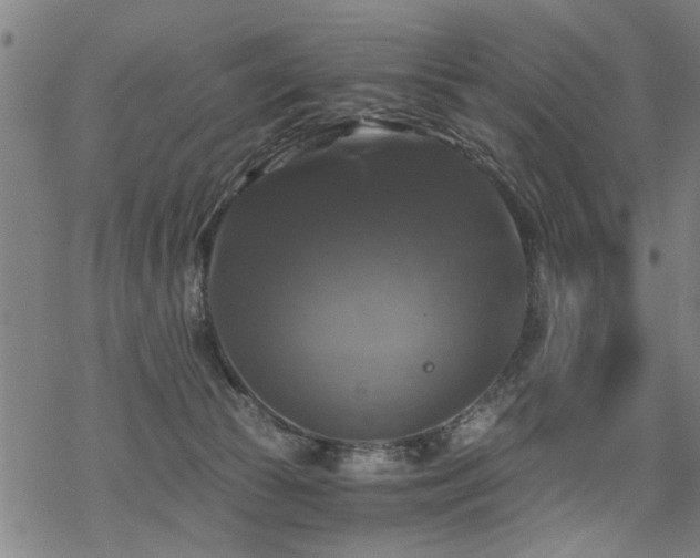 X0000069810177200605191055