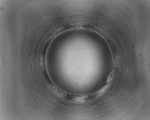 X0000069810178200605191055