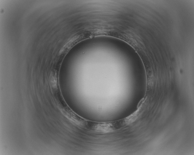 X0000069810179200605191055