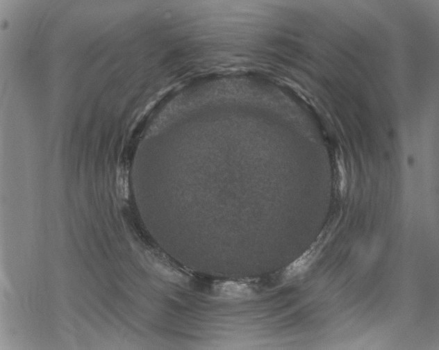 X0000069810180200605191055