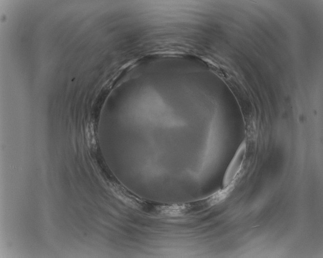 X0000069810182200605191055