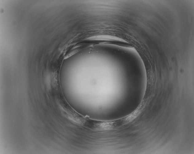 X0000069810184200605191055