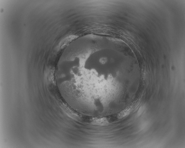 X0000069810185200605191055