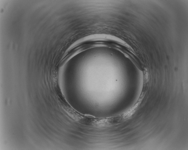 X0000069810186200605191055