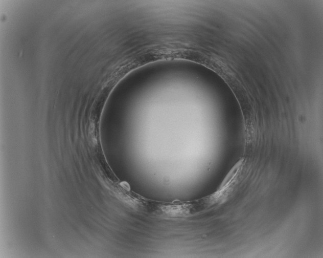 X0000069810187200605191055