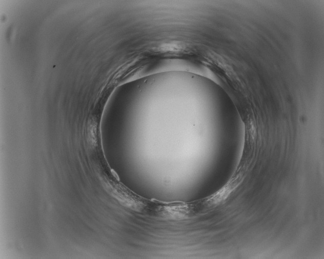 X0000069810188200605191055