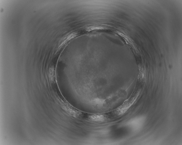 X0000069810189200605191055