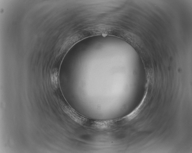 X0000069810190200605191055