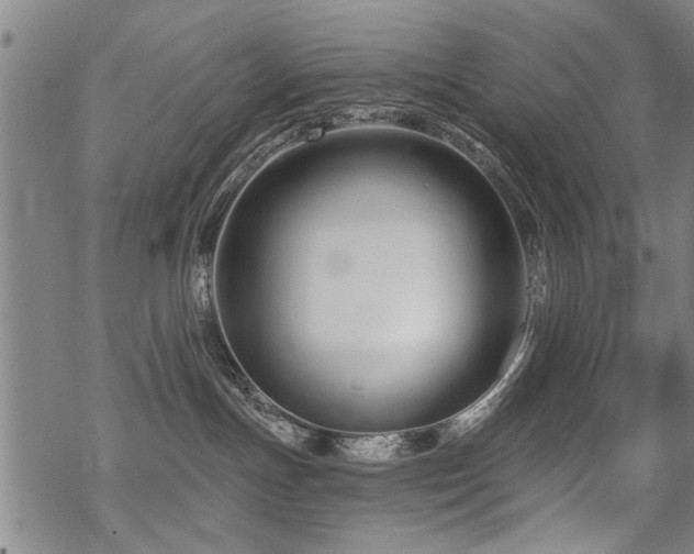 X0000069810191200605191055