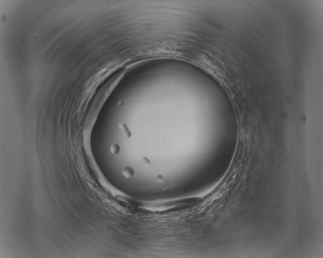 X0000069810193200605191054