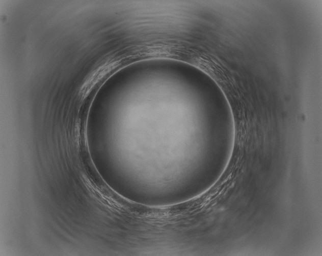 X0000069810194200605191054