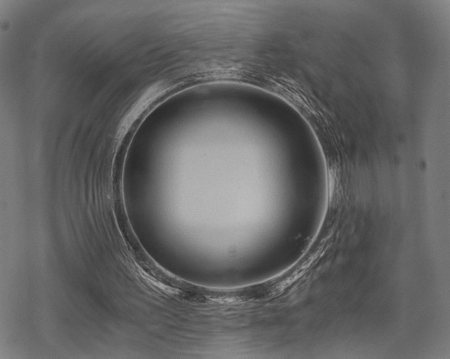 X0000069810195200605191054